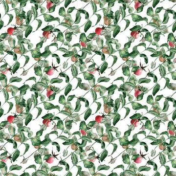 Watercolor seamless pattern with flowering branches, leaves and rosehip fruits Stock Illustration