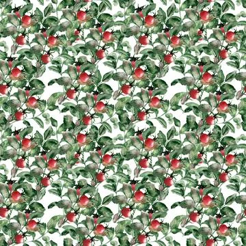 Watercolor seamless pattern with flowering branches, leaves and rosehip fruits Stock Illustration