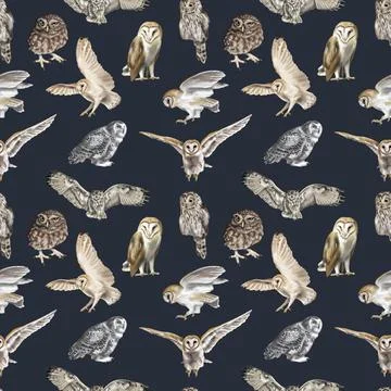 Watercolor Seamless pattern flying owl barn owl. A realistic illustration of an Stock-Illustration