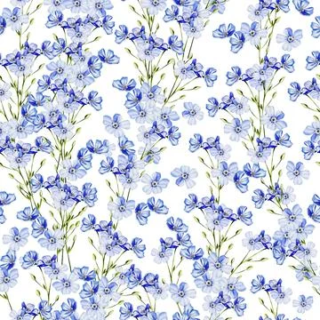 Watercolor seamless pattern with forget me not flowers. Stock Illustration