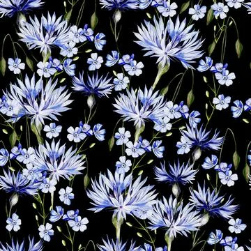 Watercolor seamless pattern with forget me not flowers and cornflowers. Stock Illustration