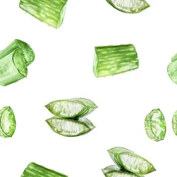A watercolor seamless pattern of a fresh Aloe Vera slice, highlighting its Stock Illustration