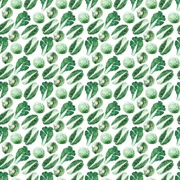 Watercolor seamless pattern of Fresh Cabbage Stock Illustration