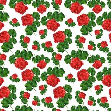 Watercolor seamless pattern with geranium plant Stock Illustration