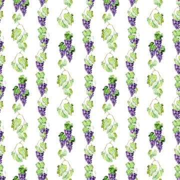 Watercolor seamless pattern with grape brushes, branches and leaves Illustrazione stock