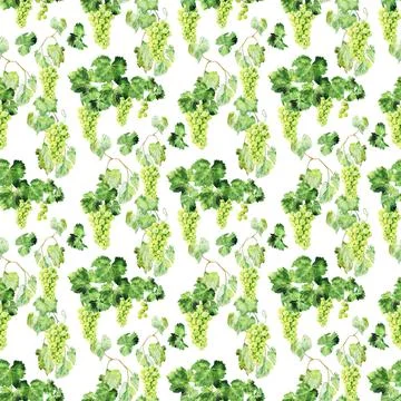 Watercolor seamless pattern with grape brushes, branches and leaves Illustrazione stock