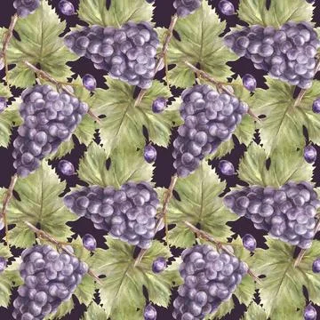 Watercolor seamless pattern with grapevine leaves and grapes berry Hand draw Illustration