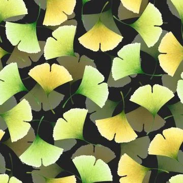 Watercolor seamless pattern with hand drawn ginkgo leaves isolated on black b Stock Illustration