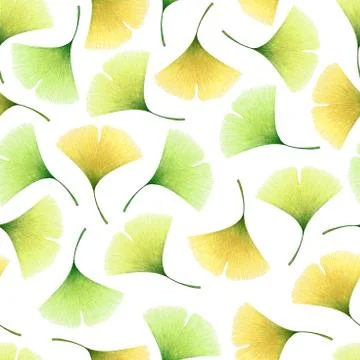 Watercolor seamless pattern with hand drawn ginkgo leaves isolated on white b Stock Illustration