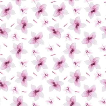 Watercolor Seamless Pattern Hand painted illustration blooming Magnolia Iso.. Stock Illustration