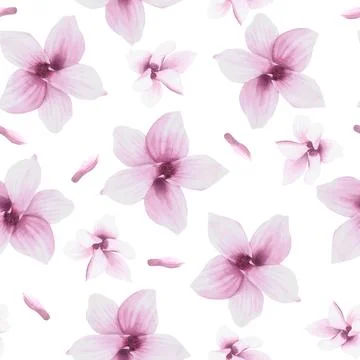 Watercolor Seamless Pattern Hand painted illustration blooming Magnolia Isolated Stock Illustration