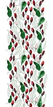 Watercolor seamless pattern with hot and sweet peppers Stock Illustration