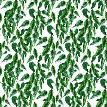 Watercolor seamless pattern with hot and sweet peppers Stock Illustration