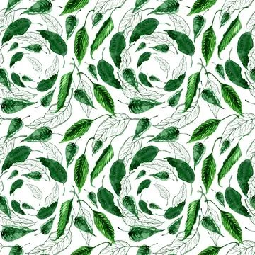 Watercolor seamless pattern with hot and sweet peppers Stock Illustration