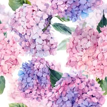 Watercolor seamless pattern with Hydrangea Stock Illustration