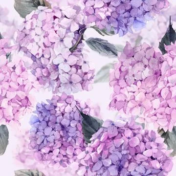 Watercolor seamless pattern with Hydrangea Stock Illustration