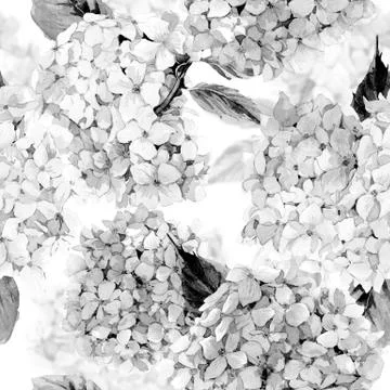 Watercolor seamless pattern with Hydrangea Stock Illustration