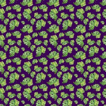 Watercolor seamless pattern with the image of grapes Stock Illustration