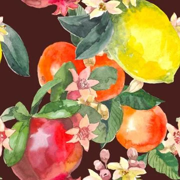 Watercolor seamless pattern of isolated hand drawn oranges, pomegranate, lemon Stock Illustration