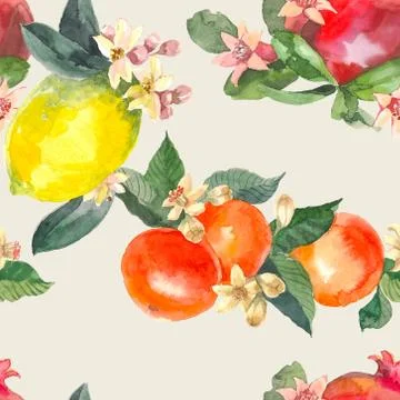Watercolor seamless pattern of isolated hand drawn oranges, pomegranate, lemon Stock Illustration