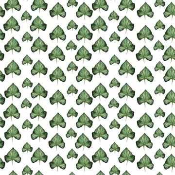 Watercolor seamless pattern with ivy leaf on white background Stock Illustration