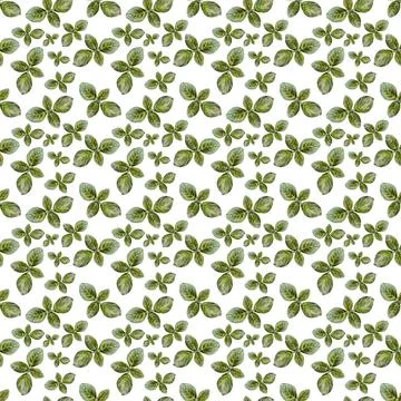 Watercolor seamless pattern with mint plant Stock Illustration