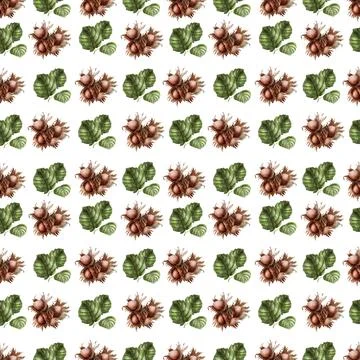 Watercolor seamless pattern with nuts and chocolates truffle Illustrazione stock