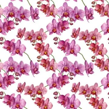 Watercolor seamless pattern with orchids. Hand painted floral bo Stock Illustration