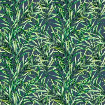 Watercolor seamless pattern with palm tree leaves. Hand painted exotic greenery Stock Illustration