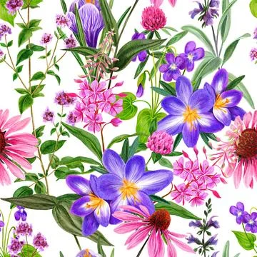 Watercolor seamless pattern, pink wild field flowers and herbs Stock Illustration