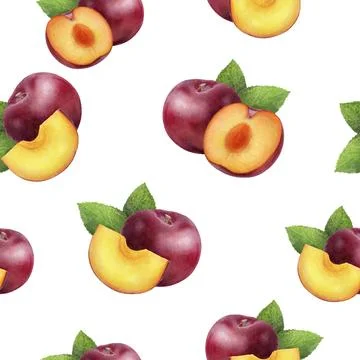 A Watercolor Seamless Pattern of Plums for Various Creative Uses and Stock Illustration