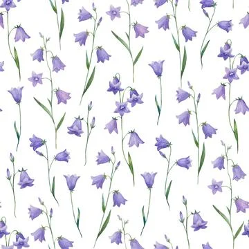 Watercolor seamless pattern with realistic hand painted bellflowers. Meadow Stock Illustration