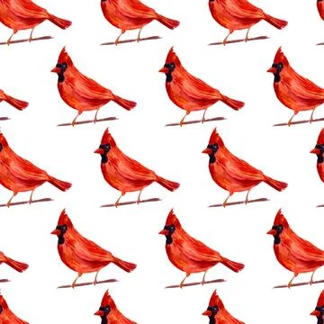 Watercolor seamless pattern with red cardinal birds on twigs Stock Illustration