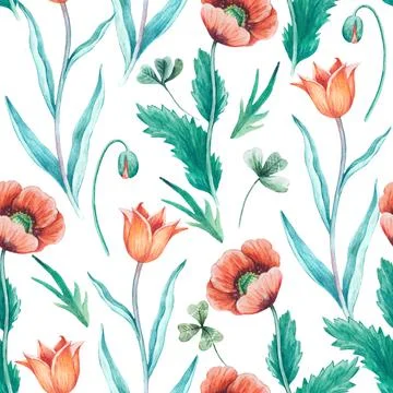 Watercolor seamless pattern with red wild poppy and tulip flowers. Stock Illustration
