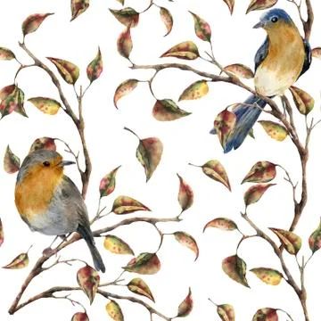 Watercolor seamless pattern with robin sitting on tree branch. Autumn Stock Illustration