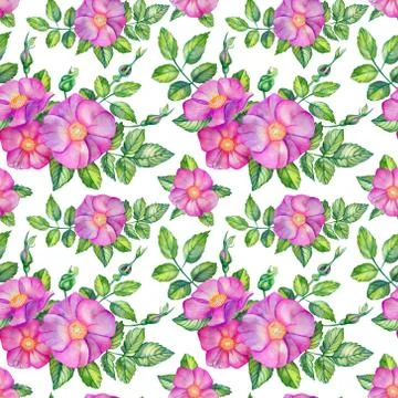 Watercolor seamless pattern with rose hips. Stock Illustration