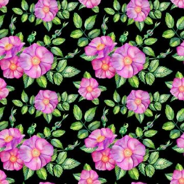 Watercolor seamless pattern with rose hips. Stock Illustration