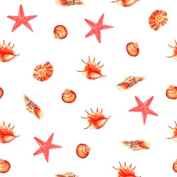 Watercolor seamless pattern of shells and Asterias 스톡 일러스트