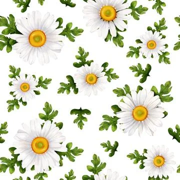 Watercolor seamless pattern with spring daisies. Seamless background for fabr Stock Illustration