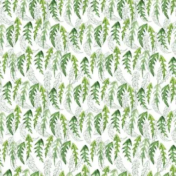 Watercolor seamless pattern with stylized of the Dandelion plant Stock Illustration