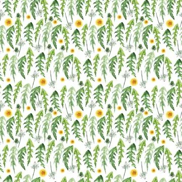 Watercolor seamless pattern with stylized of the Dandelion plant Stock Illustration