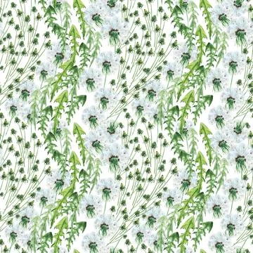 Watercolor seamless pattern with stylized of the Dandelion plant Stock Illustration
