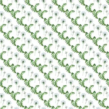 Watercolor seamless pattern with stylized of the Dandelion plant Stock Illustration