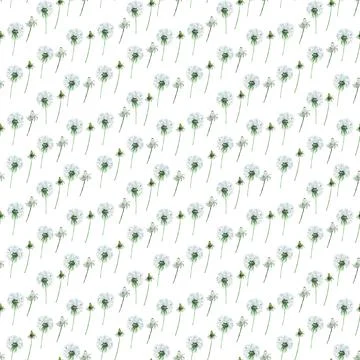 Watercolor seamless pattern with stylized of the Dandelion plant Stock Illustration