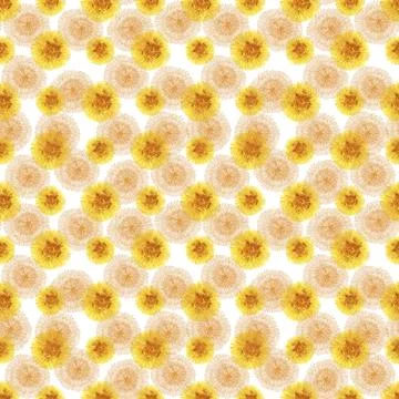 Watercolor seamless pattern with stylized of the Dandelion plant Stock Illustration
