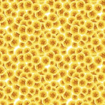 Watercolor seamless pattern with stylized of the Dandelion plant Stock Illustration
