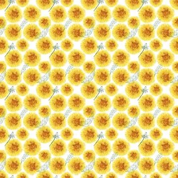 Watercolor seamless pattern with stylized of the Dandelion plant Stock Illustration