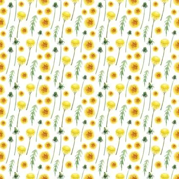 Watercolor seamless pattern with stylized of the Dandelion plant Stock Illustration