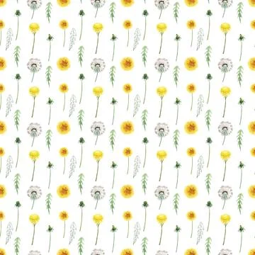 Watercolor seamless pattern with stylized of the Dandelion plant Stock Illustration