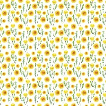 Watercolor seamless pattern with stylized of the Dandelion plant Stock Illustration